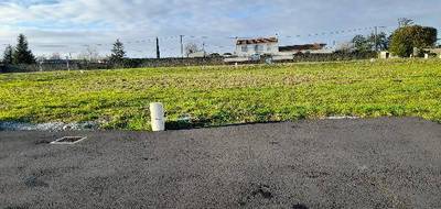 Terrain seul à Cognac en Charente (16) de 515 m² à vendre au prix de 59000€ - 1