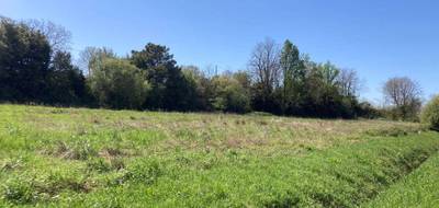 Terrain seul à Bourg en Gironde (33) de 664 m² à vendre au prix de 62000€ - 2