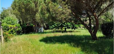 Terrain seul à La Tremblade en Charente-Maritime (17) de 725 m² à vendre au prix de 154000€ - 1