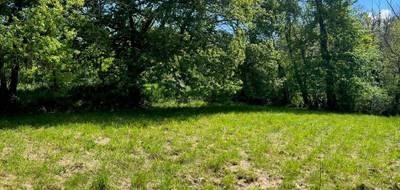 Terrain seul à Madirac en Gironde (33) de 1000 m² à vendre au prix de 130000€ - 2