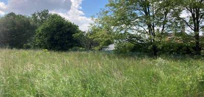 Terrain seul à Berson en Gironde (33) de 5136 m² à vendre au prix de 135000€ - 1