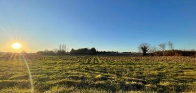 Terrain seul à Berson en Gironde (33) de 1200 m² à vendre au prix de 56000€ - 1