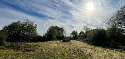 Terrain seul à Cartelègue en Gironde (33) de 8600 m² à vendre au prix de 85000€ - 1