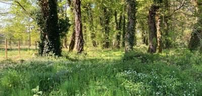 Terrain seul à Souméras en Charente-Maritime (17) de 4630 m² à vendre au prix de 66000€ - 1
