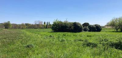 Terrain seul à Montendre en Charente-Maritime (17) de 3000 m² à vendre au prix de 30000€ - 2