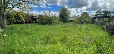 Terrain seul à Sérignac-sur-Garonne en Lot-et-Garonne (47) de 711 m² à vendre au prix de 50000€ - 2