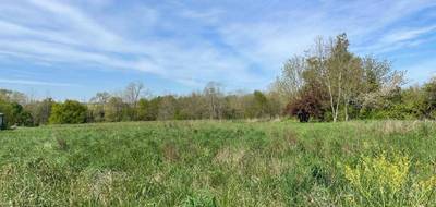 Terrain seul à Val-de-Livenne en Gironde (33) de 1000 m² à vendre au prix de 45200€ - 1