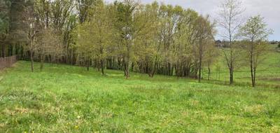 Terrain seul à Saint-Palais en Gironde (33) de 3331 m² à vendre au prix de 40000€ - 2