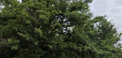Terrain seul à Moliets-et-Maa en Landes (40) de 612 m² à vendre au prix de 225000€ - 1