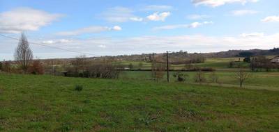 Terrain seul à Doazit en Landes (40) de 2850 m² à vendre au prix de 55000€ - 2