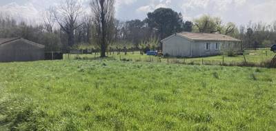 Terrain seul à Berson en Gironde (33) de 660 m² à vendre au prix de 36000€ - 1