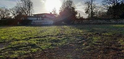 Terrain seul à Cognac en Charente (16) de 600 m² à vendre au prix de 67000€ - 1