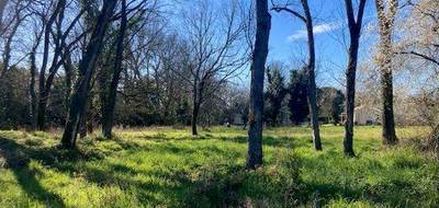 Terrain seul à Prignac-et-Marcamps en Gironde (33) de 773 m² à vendre au prix de 79000€ - 2