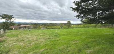 Terrain seul à Souternon en Loire (42) de 0 m² à vendre au prix de 33000€ - 3