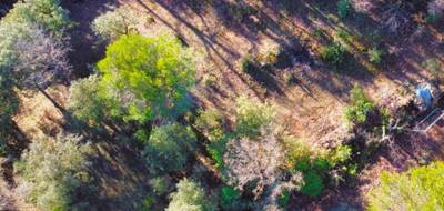 Terrain seul à Saint-Maximin-la-Sainte-Baume en Var (83) de 2150 m² à vendre au prix de 225000€ - 2