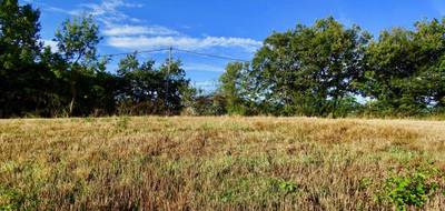 Terrain seul à Cazaux-Savès en Gers (32) de 2000 m² à vendre au prix de 81000€ - 3