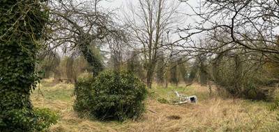 Terrain seul à Villenauxe-la-Grande en Aube (10) de 0 m² à vendre au prix de 12000€ - 3