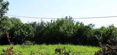 Terrain seul à Lévignac en Haute-Garonne (31) de 2370 m² à vendre au prix de 144000€ - 3