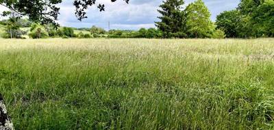 Terrain seul à Sauveterre-de-Béarn en Pyrénées-Atlantiques (64) de 0 m² à vendre au prix de 60000€ - 2