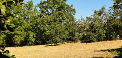 Terrain seul à Saint-Médard-en-Forez en Loire (42) de 0 m² à vendre au prix de 124500€ - 2