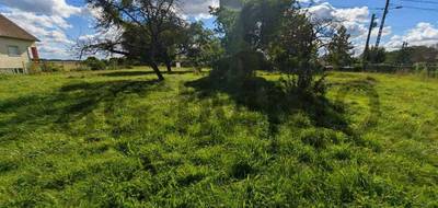 Terrain seul à Louan-Villegruis-Fontaine en Seine-et-Marne (77) de 802 m² à vendre au prix de 24000€ - 3