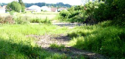 Terrain seul à Dogneville en Vosges (88) de 0 m² à vendre au prix de 65000€ - 4