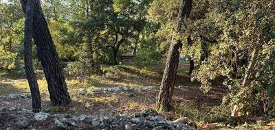 Terrain seul à Lorgues en Var (83) de 1257 m² à vendre au prix de 160000€ - 4