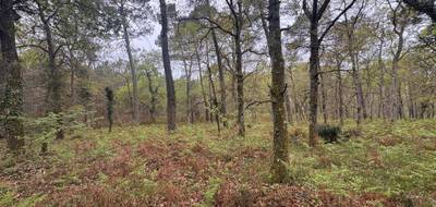 Terrain seul à Barbaste en Lot-et-Garonne (47) de 48400 m² à vendre au prix de 48400€ - 2