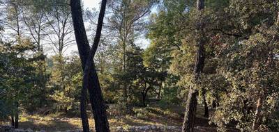 Terrain seul à Lorgues en Var (83) de 1257 m² à vendre au prix de 160000€ - 3