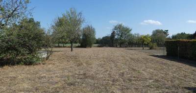 Terrain seul à Damiatte en Tarn (81) de 1255 m² à vendre au prix de 55000€ - 4