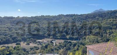 Terrain seul à Penta-di-Casinca en Haute-Corse (2B) de 874 m² à vendre au prix de 150000€ - 2
