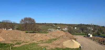 Terrain seul à Orschwihr en Haut-Rhin (68) de 0 m² à vendre au prix de 62825€ - 2