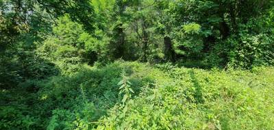 Terrain seul à Roquecourbe en Tarn (81) de 9330 m² à vendre au prix de 35000€ - 2
