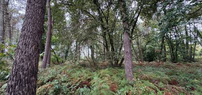 Terrain seul à Escalans en Landes (40) de 0 m² à vendre au prix de 65000€ - 3