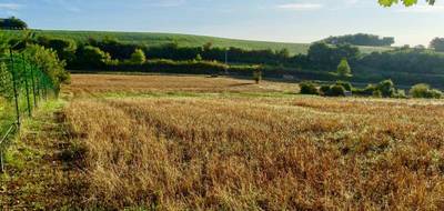 Terrain seul à Cazaux-Savès en Gers (32) de 0 m² à vendre au prix de 81000€ - 1