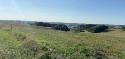 Terrain seul à Saint-Paul-d'Espis en Tarn-et-Garonne (82) de 0 m² à vendre au prix de 29000€ - 1