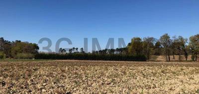 Terrain seul à Momuy en Landes (40) de 2725 m² à vendre au prix de 27500€ - 1