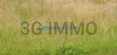 Terrain seul à Marmande en Lot-et-Garonne (47) de 8119 m² à vendre au prix de 211000€ - 1