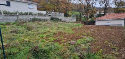 Terrain seul à Bellegarde-en-Forez en Loire (42) de 0 m² à vendre au prix de 49000€ - 4