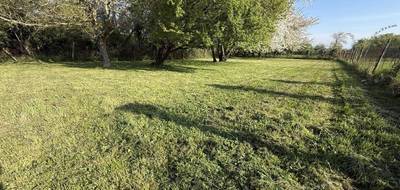 Terrain seul à Villeblevin en Yonne (89) de 0 m² à vendre au prix de 55000€ - 3