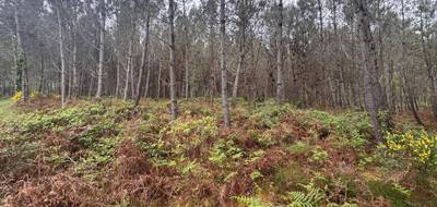 Terrain seul à Barbaste en Lot-et-Garonne (47) de 48400 m² à vendre au prix de 48400€ - 4