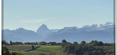 Terrain seul à Sauvagnon en Pyrénées-Atlantiques (64) de 0 m² à vendre au prix de 77000€ - 1