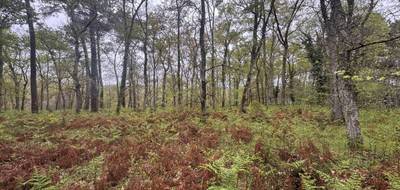 Terrain seul à Barbaste en Lot-et-Garonne (47) de 48400 m² à vendre au prix de 48400€ - 3
