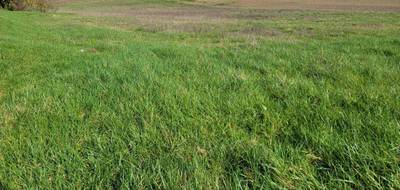 Terrain seul à Mirebeau en Vienne (86) de 6640 m² à vendre au prix de 28000€ - 2
