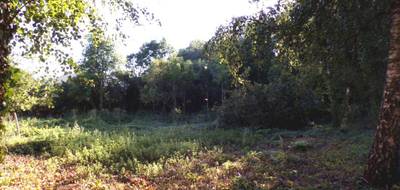Terrain seul à Lachapelle-aux-Pots en Oise (60) de 1700 m² à vendre au prix de 54000€ - 3