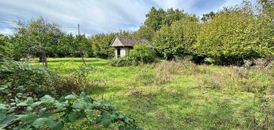 Terrain seul à Souppes-sur-Loing en Seine-et-Marne (77) de 0 m² à vendre au prix de 39000€ - 3