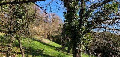 Terrain seul à Altkirch en Haut-Rhin (68) de 1300 m² à vendre au prix de 99000€ - 1