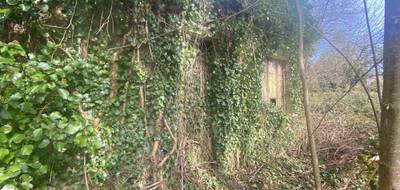 Terrain seul à Le Plessis-Dorin en Loir-et-Cher (41) de 0 m² à vendre au prix de 16000€ - 4
