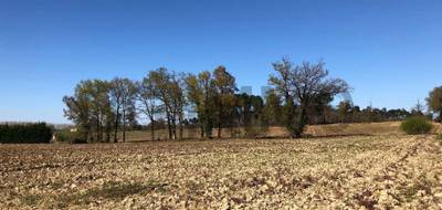 Terrain seul à Momuy en Landes (40) de 2725 m² à vendre au prix de 27500€ - 3