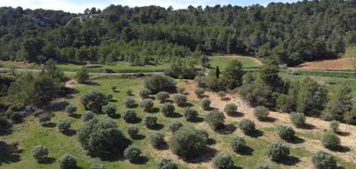 Terrain seul à Montouliers en Hérault (34) de 6530 m² à vendre au prix de 32000€ - 2